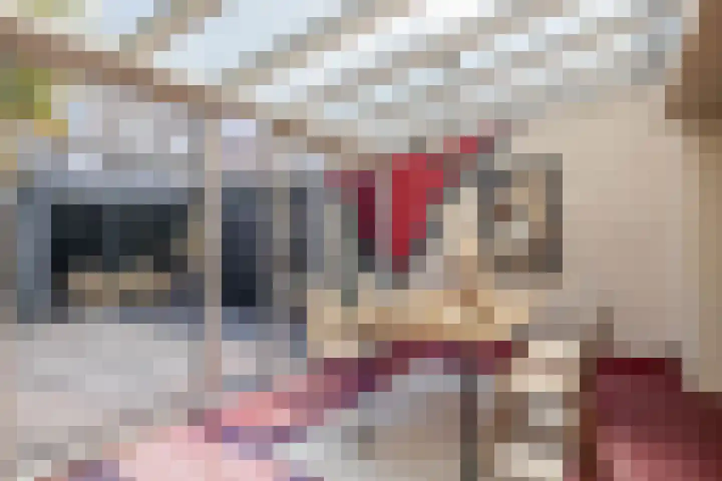 Bernard Zweersstraat 36 Zaandijk thumbnail 6