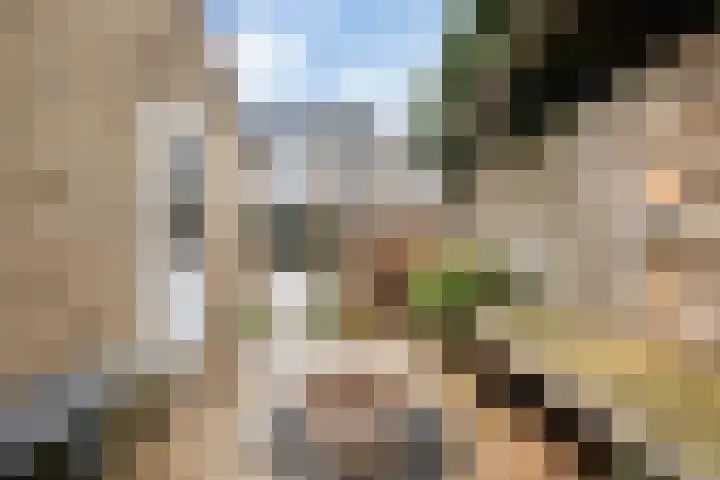 Bernard Zweersstraat 8 Alkmaar thumbnail 55