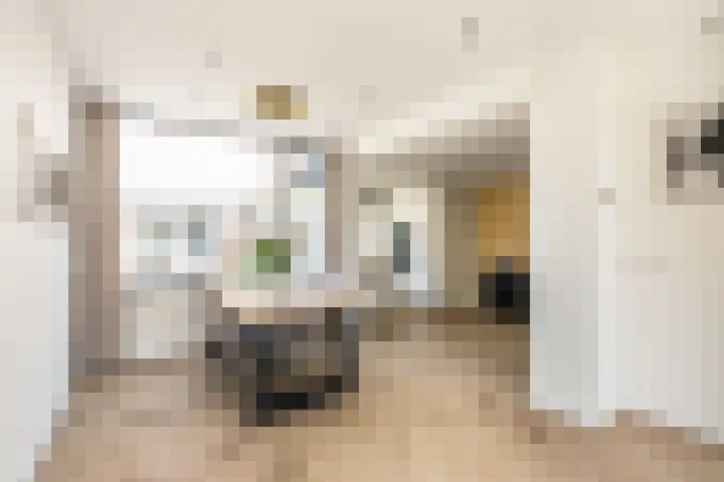 Bernard Zweersstraat 8 Nootdorp thumbnail 10