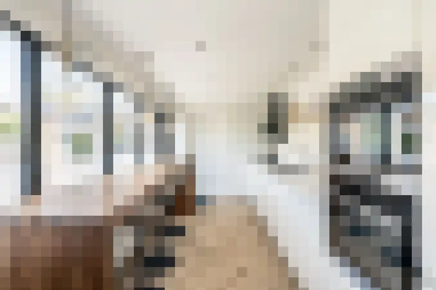 Bernard Zweersstraat 8 Nootdorp thumbnail 11