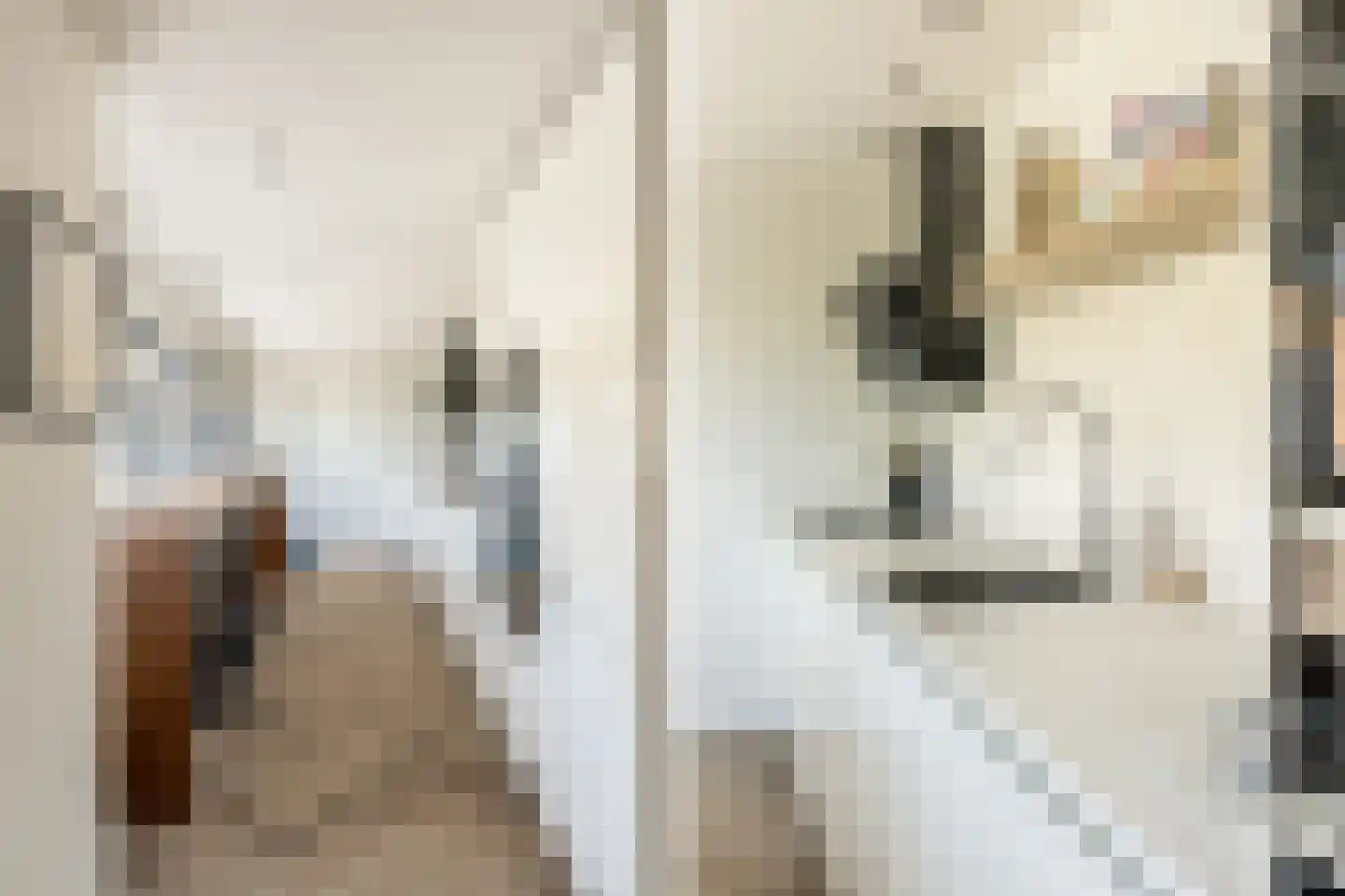 Bernard Zweersstraat 8 Nootdorp thumbnail 12