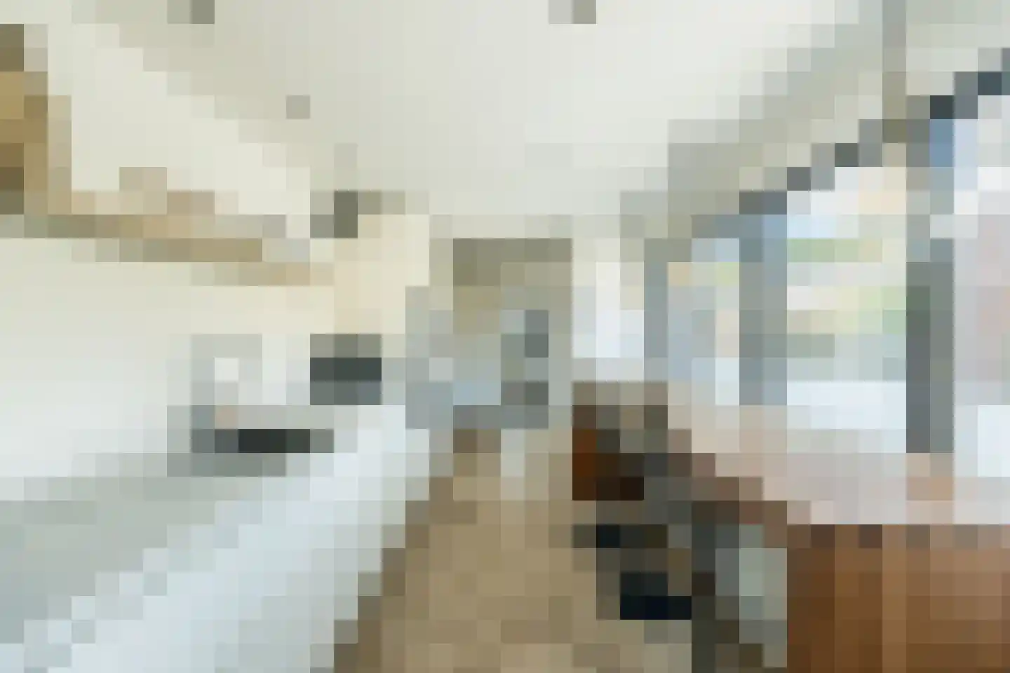 Bernard Zweersstraat 8 Nootdorp thumbnail 13