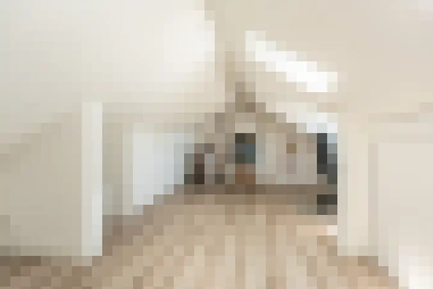 Bernard Zweersstraat 8 Nootdorp thumbnail 23