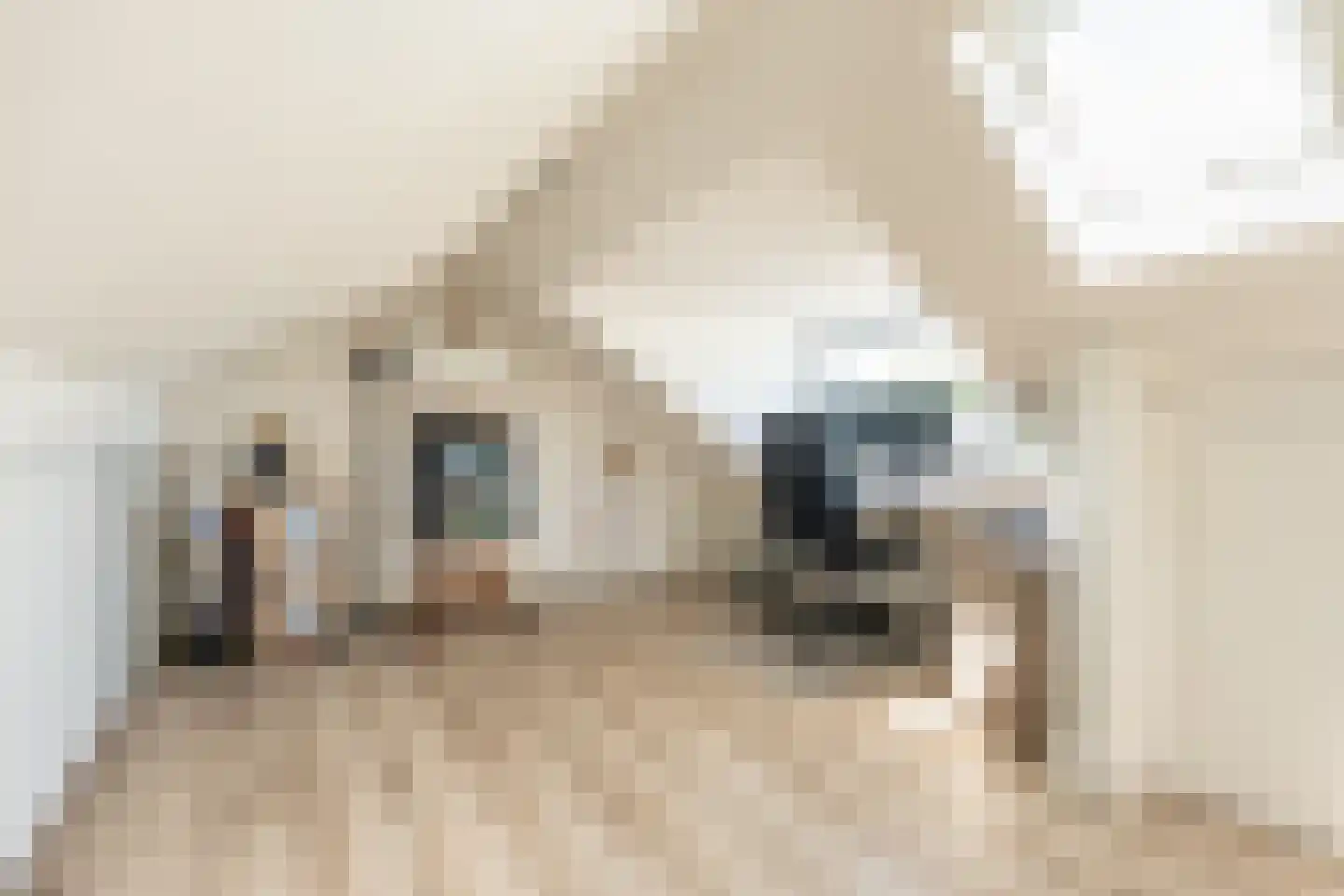 Bernard Zweersstraat 8 Nootdorp thumbnail 24