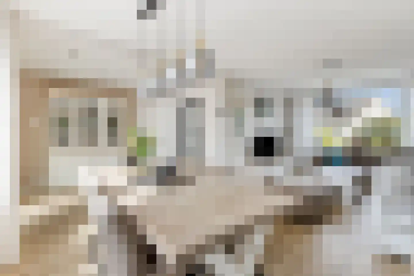 Bernardlaan 37 Wouw thumbnail 17