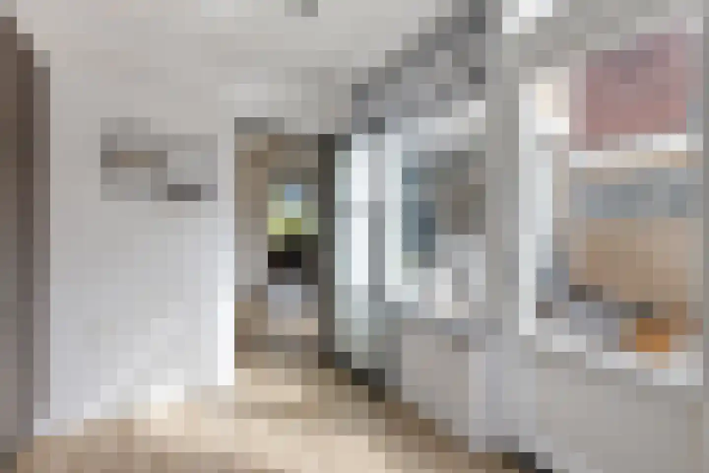Bernardlaan 37 Wouw thumbnail 22