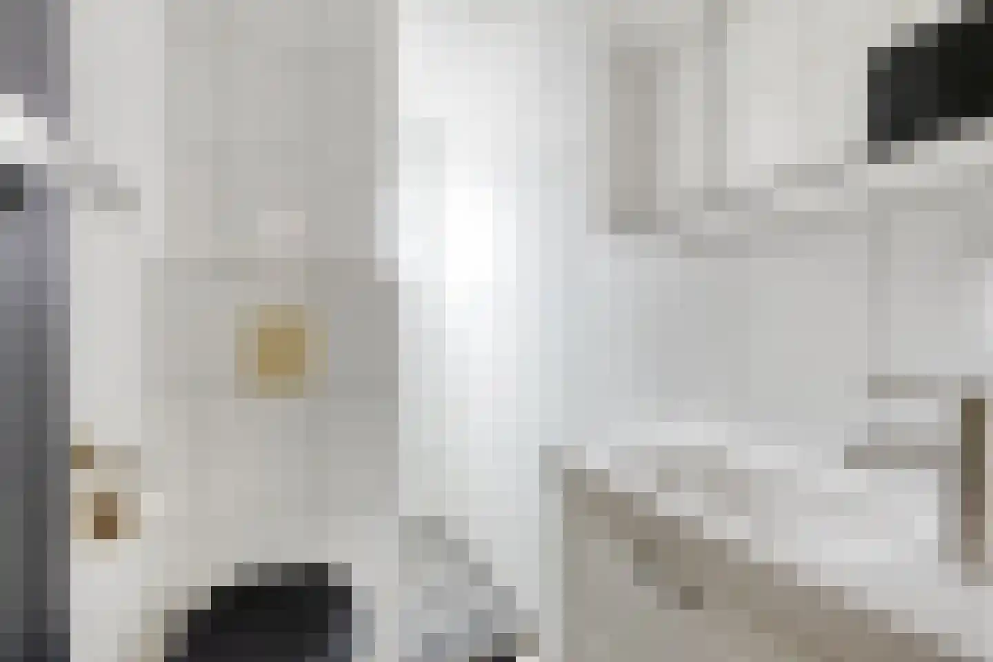 Bernardlaan 37 Wouw thumbnail 32