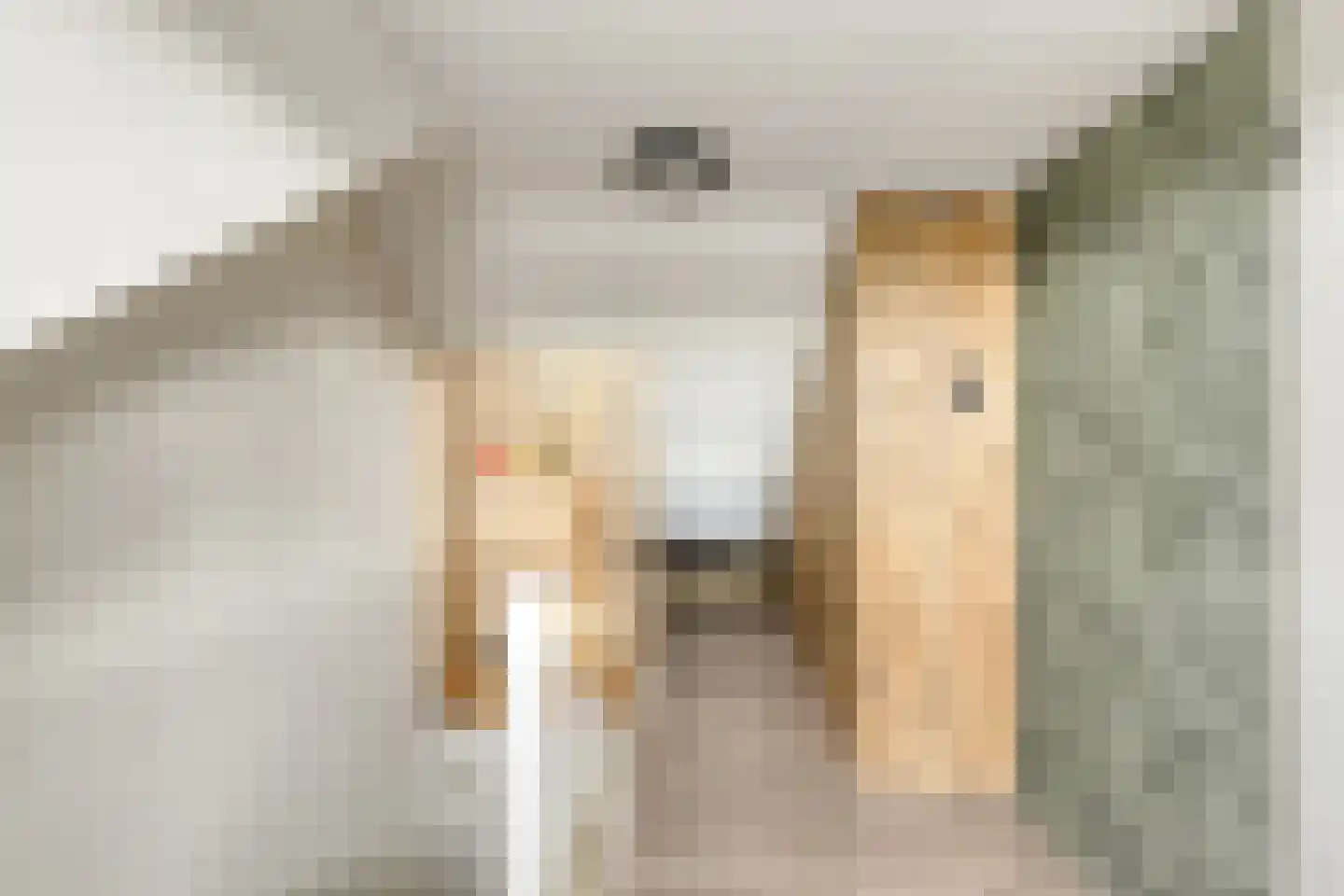 Bernardlaan 37 Wouw thumbnail 34