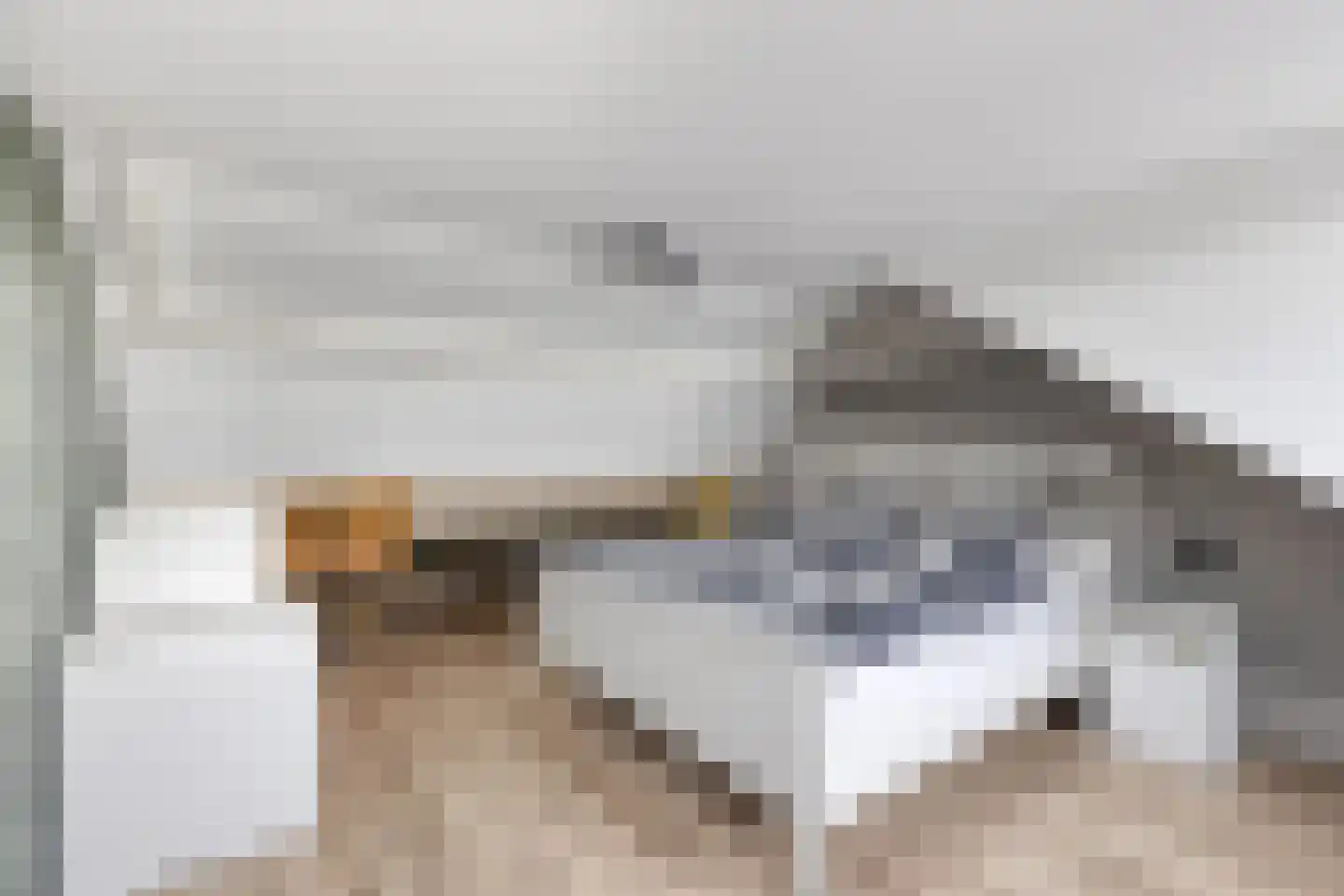 Bernardlaan 37 Wouw thumbnail 36