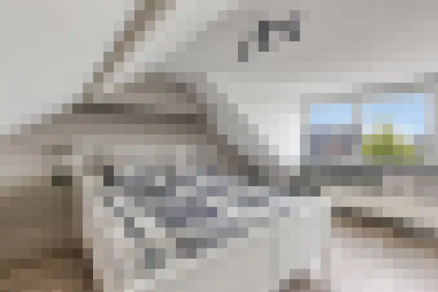 Bernardlaan 37 Wouw thumbnail 37