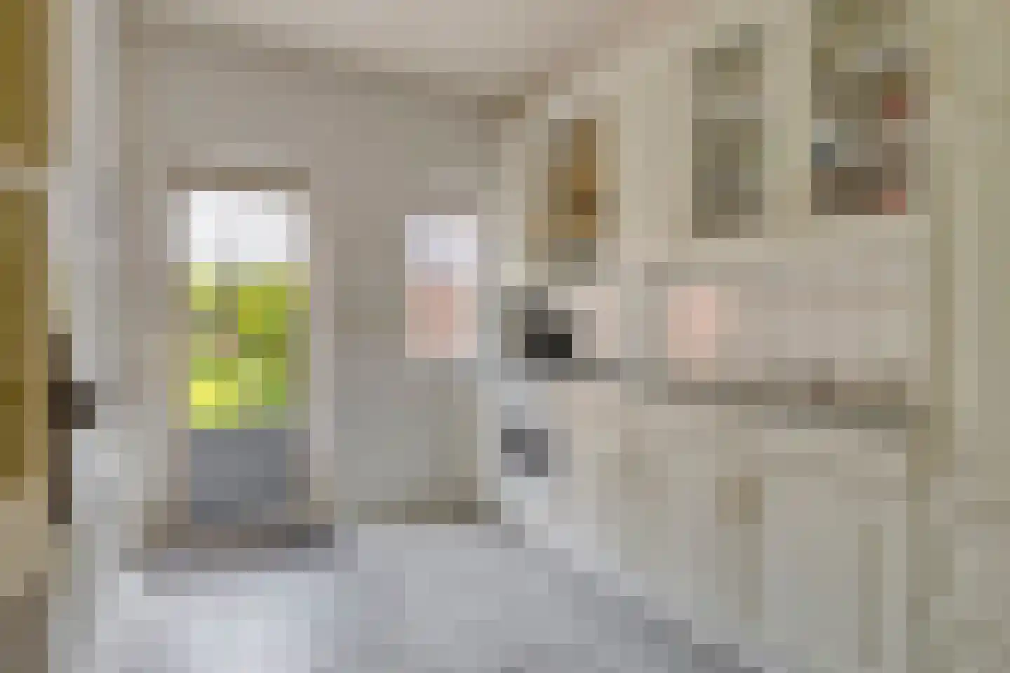 Bernardlaan 5 Wouw thumbnail 10