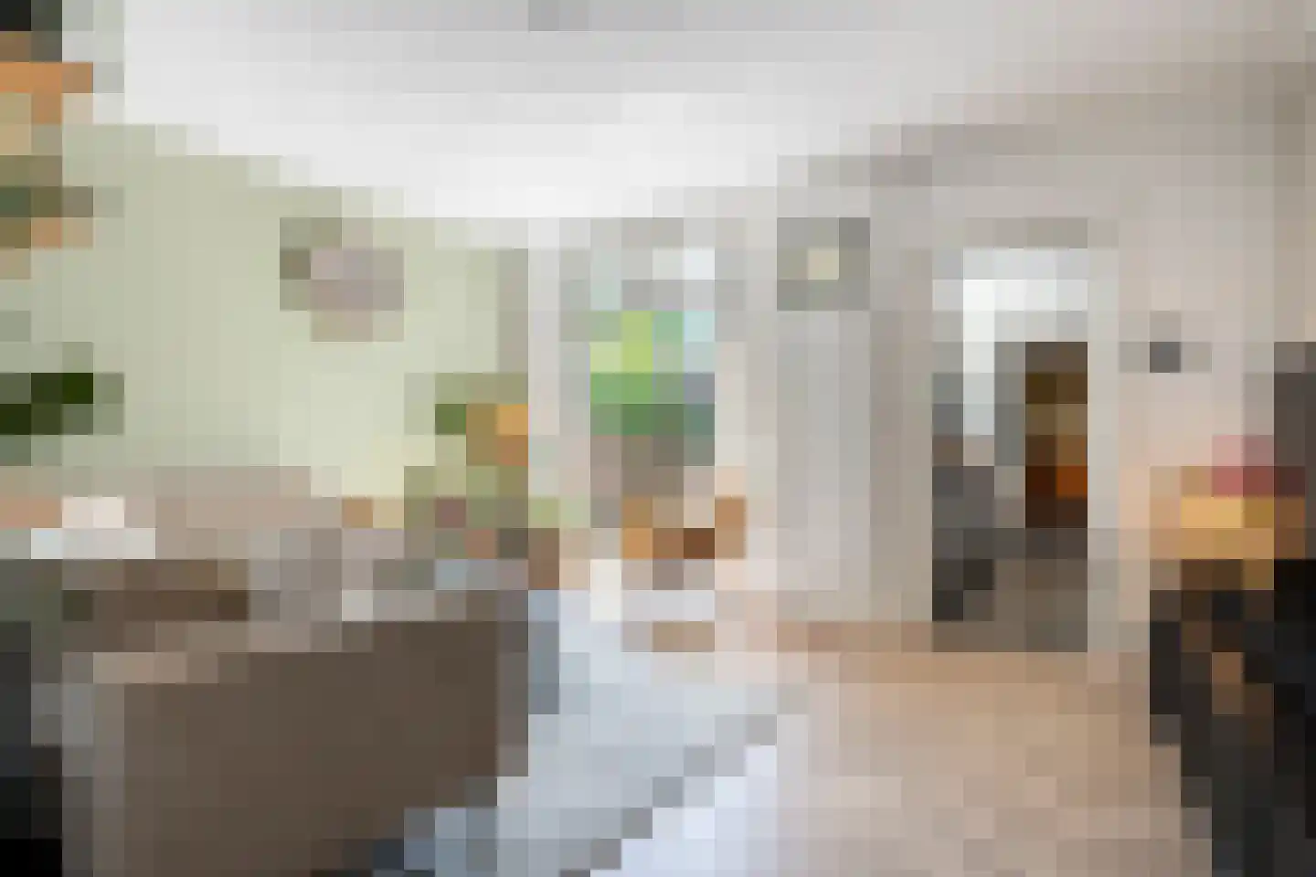 Bernardstraat 26 Hengelo thumbnail 19