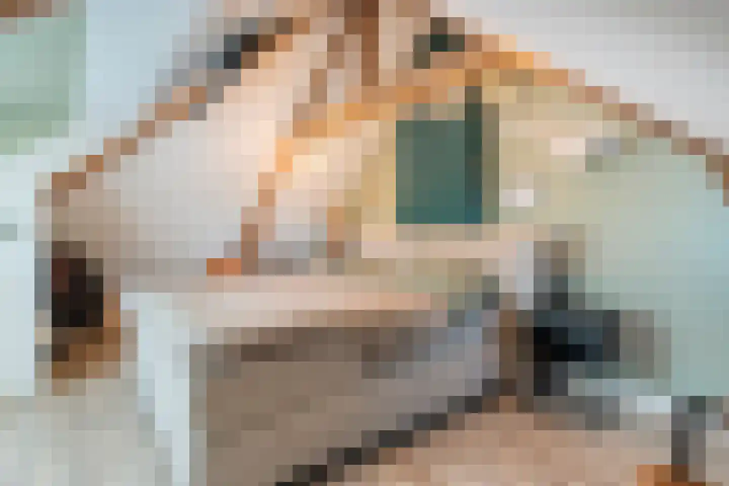 Bernardstraat 26 Hengelo thumbnail 38