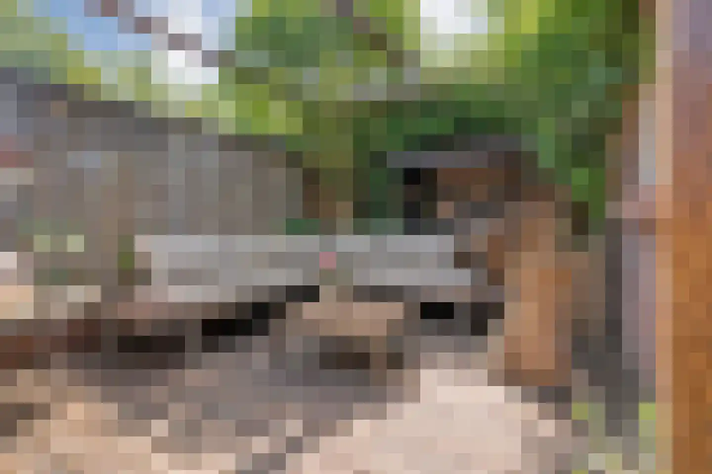 Bernardstraat 26 Hengelo thumbnail 51