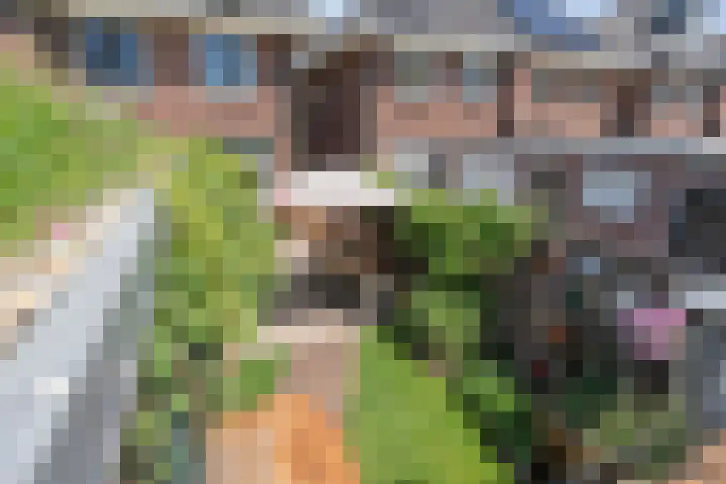 Bernardstraat 26 Hengelo thumbnail 53