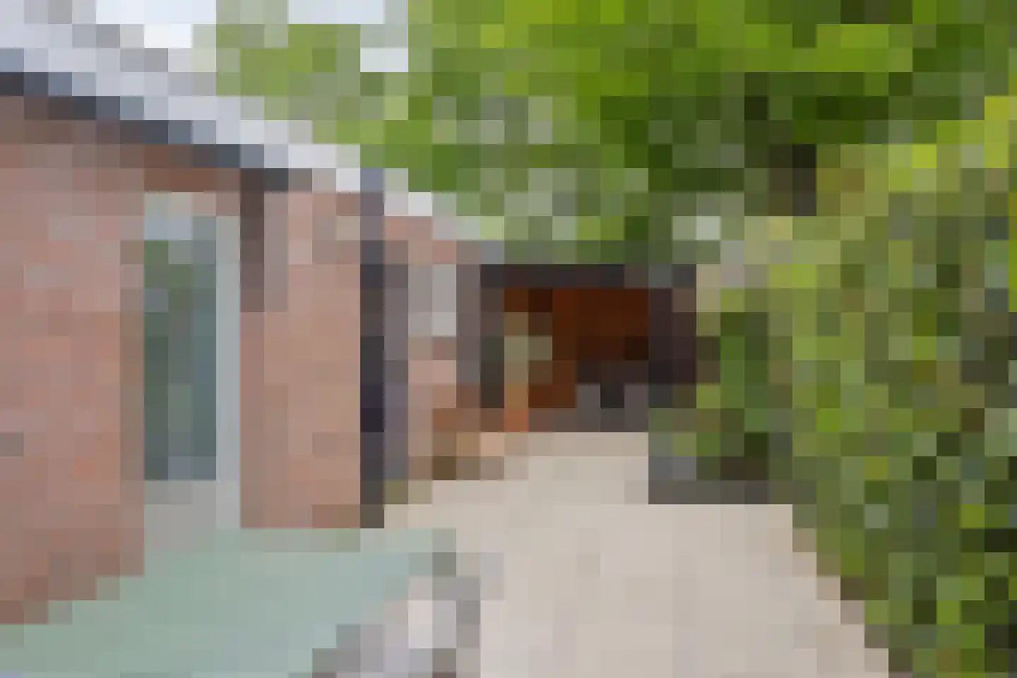 Bernardstraat 40 Hengelo thumbnail 33