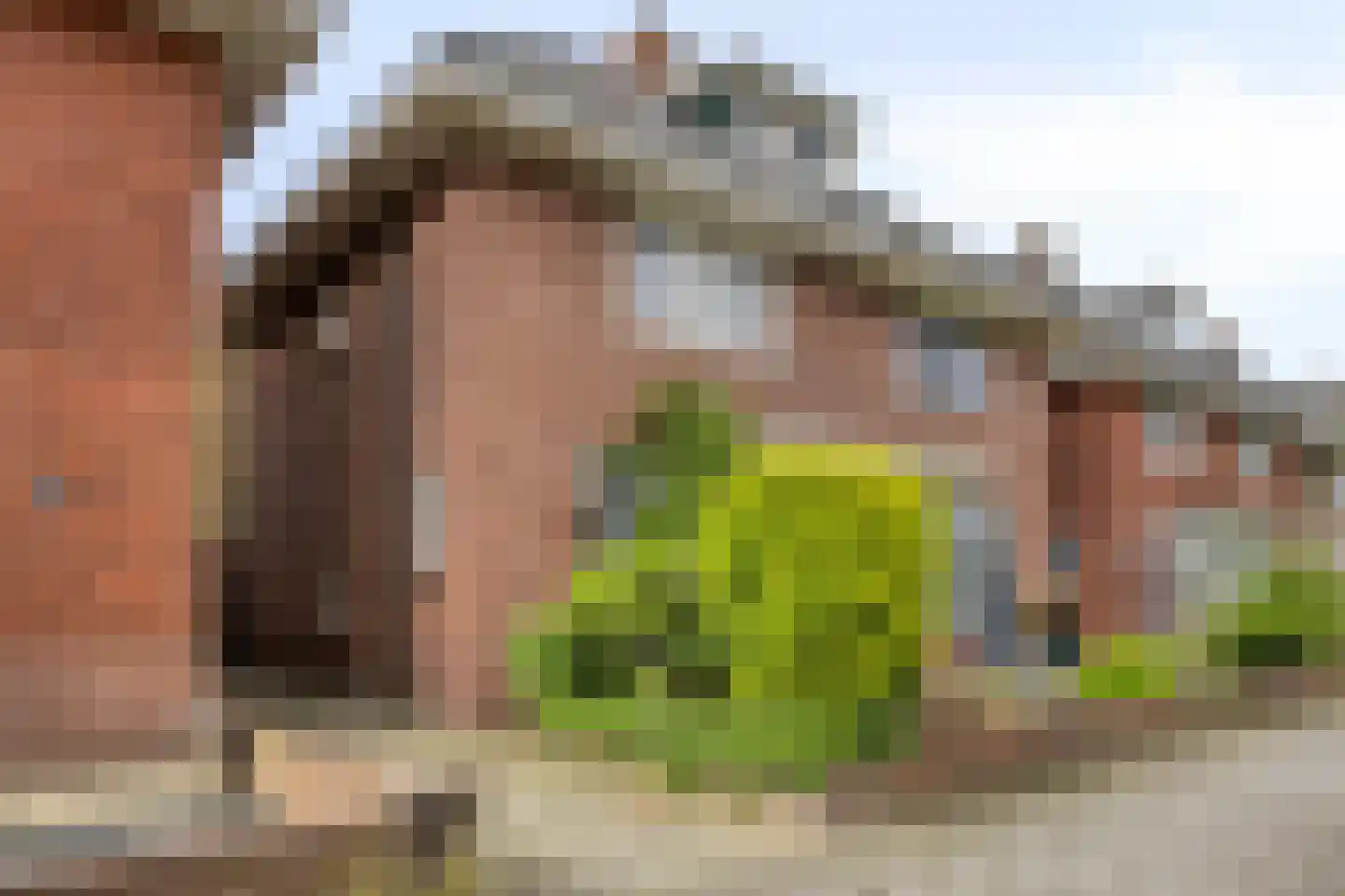 Bernardstraat 46 Hengelo thumbnail 4