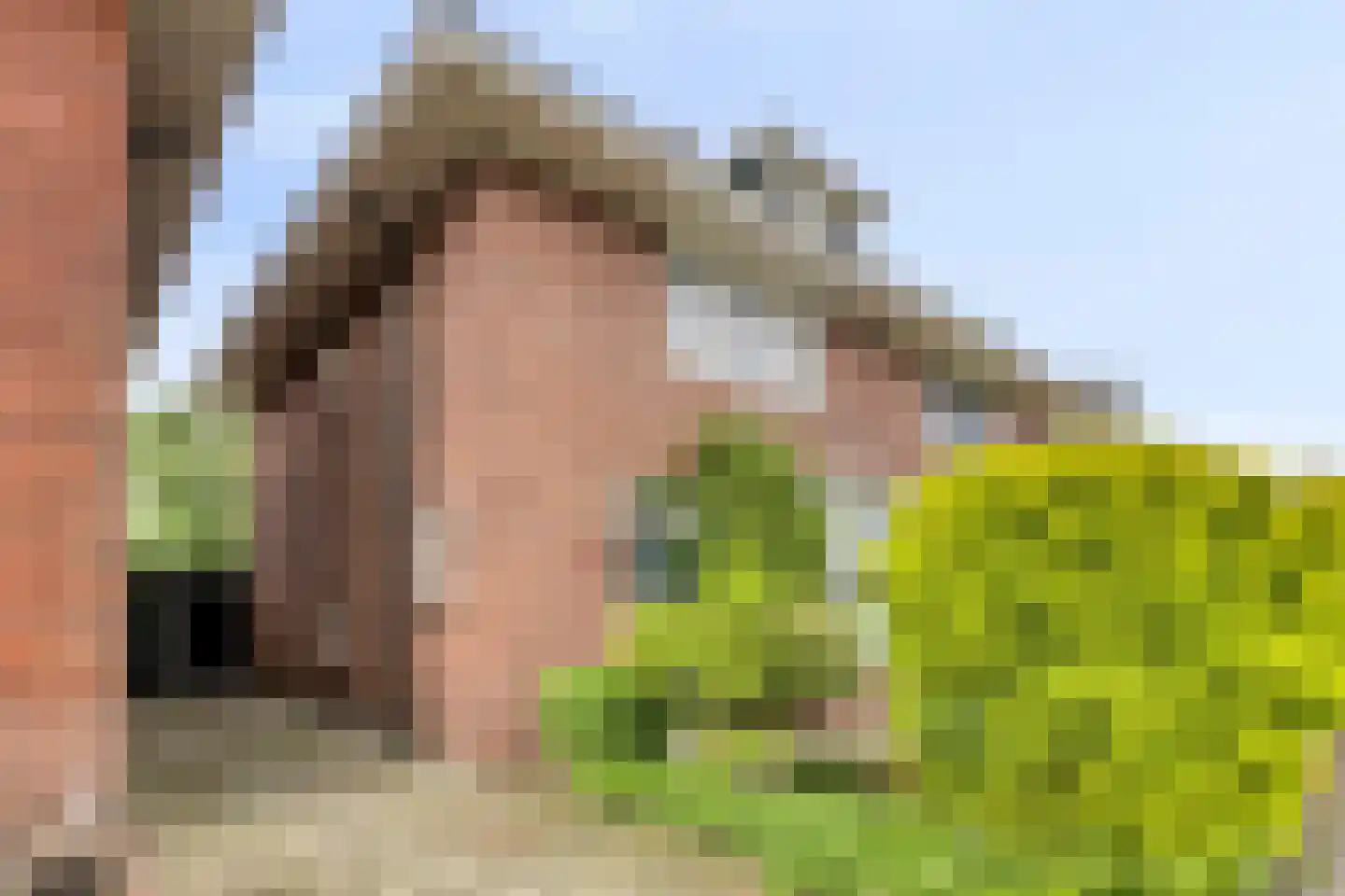 Bernardstraat 46 Hengelo thumbnail 5