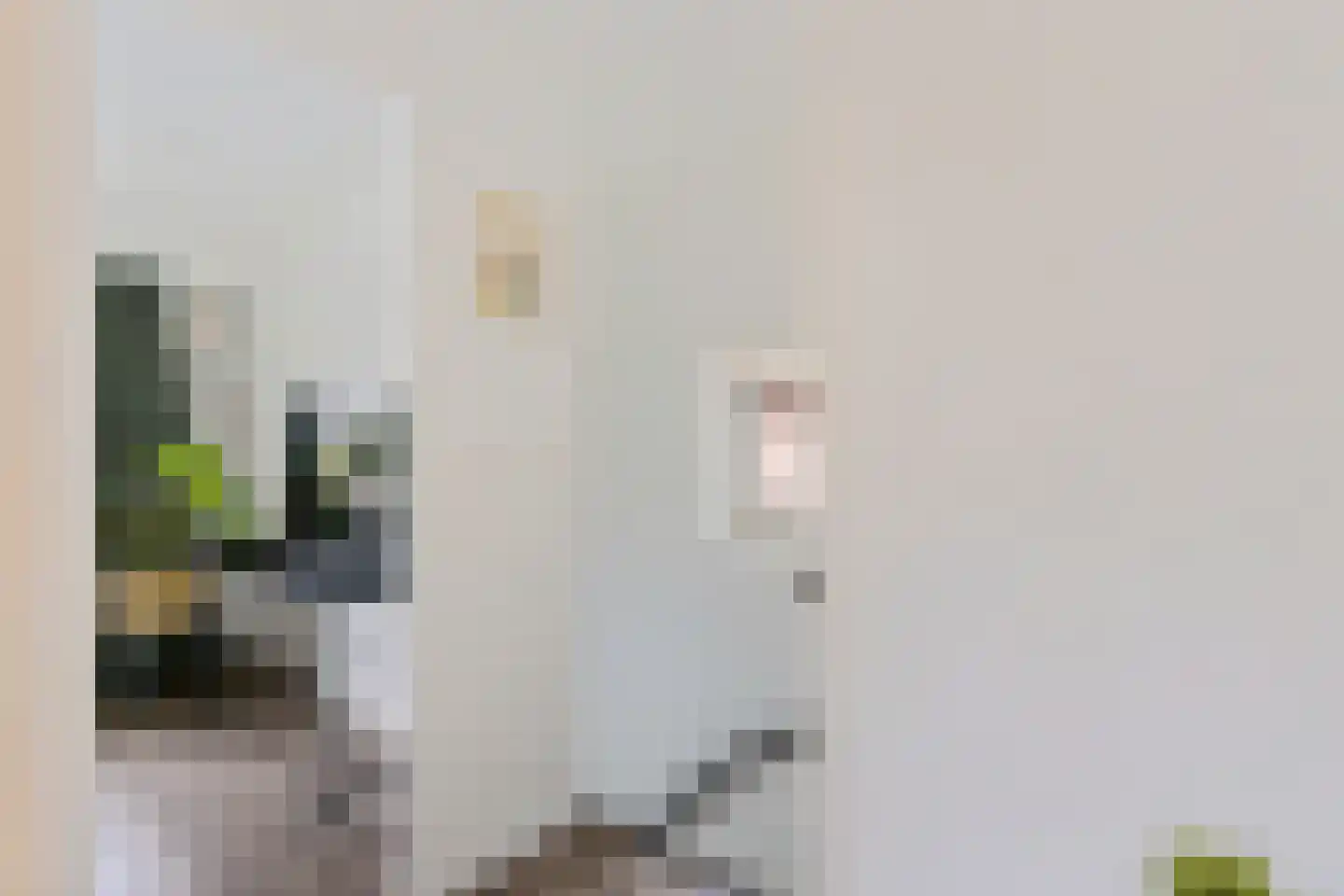 Bernardstraat 58 Hengelo thumbnail 14