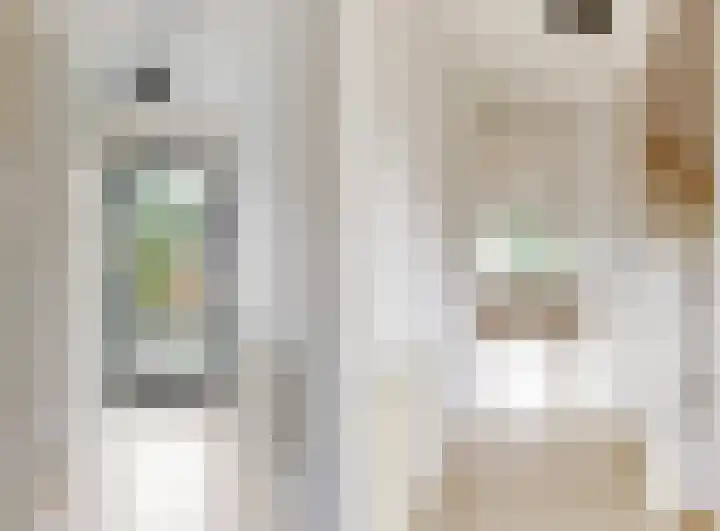 Bernardus Arpsstraat 3 Heelsum thumbnail 12