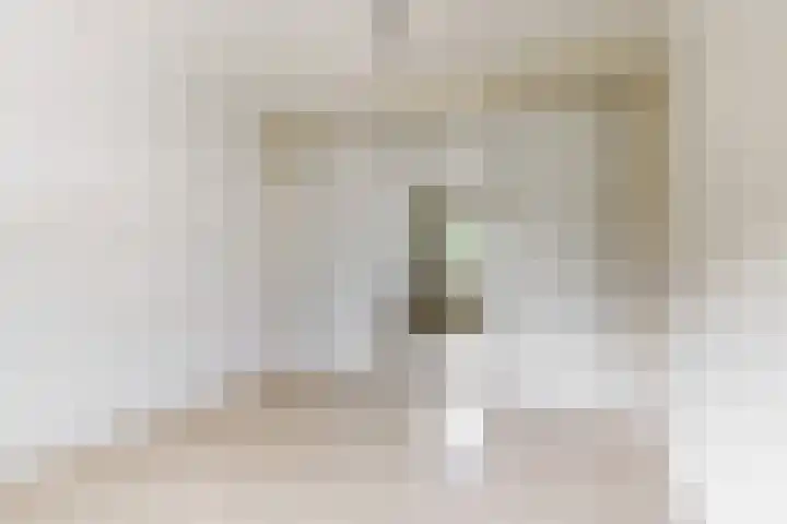 Bernardus Arpsstraat 3 Heelsum thumbnail 17