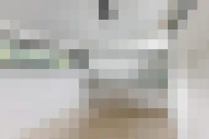 Bernardus Arpsstraat 3 Heelsum thumbnail 20