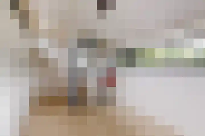 Bernardus Arpsstraat 3 Heelsum thumbnail 21