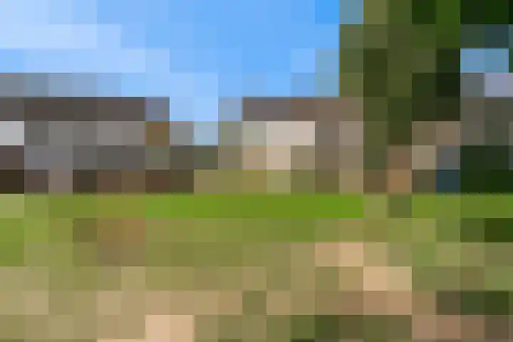 Bernardus Arpsstraat 3 Heelsum thumbnail 26