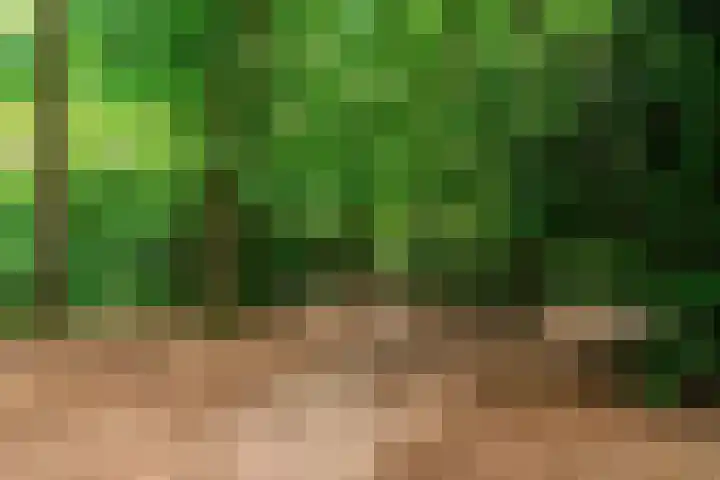 Bernardus Arpsstraat 3 Heelsum thumbnail 28