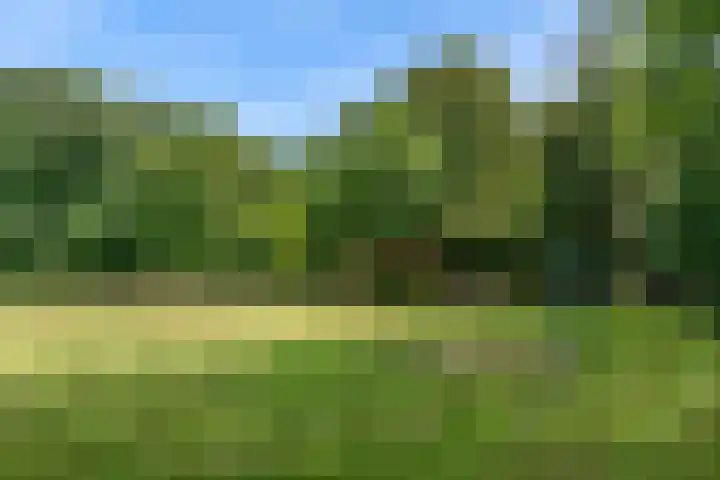 Bernardus Arpsstraat 3 Heelsum thumbnail 29