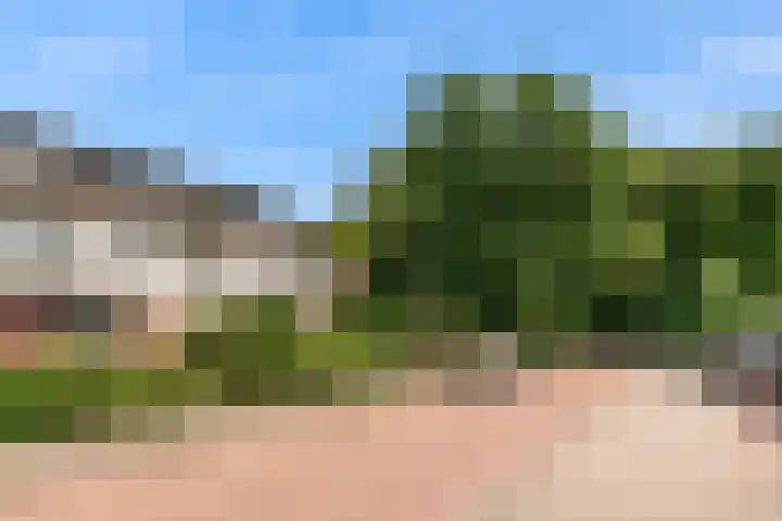 Bernardus Arpsstraat 3 Heelsum thumbnail 32