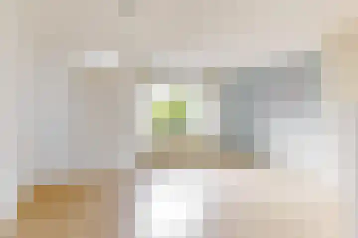 Bernardus Arpsstraat 3 Heelsum thumbnail 4