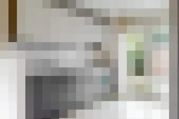 Bernardus Arpsstraat 3 Heelsum thumbnail 8