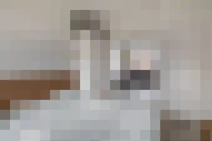 Bernardus Gewinstraat 13 A Rotterdam thumbnail 16