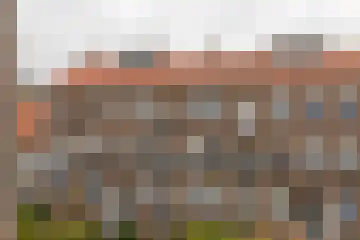 Bernardus Gewinstraat 13 A Rotterdam thumbnail 18