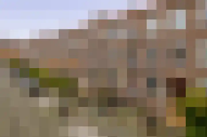 Bernardus Gewinstraat 13 A Rotterdam thumbnail 31