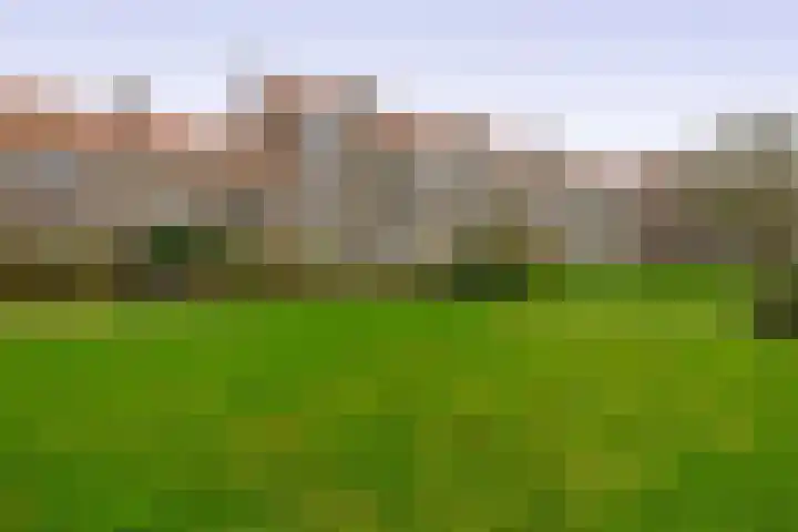 Bernardus Gewinstraat 13 A Rotterdam thumbnail 32