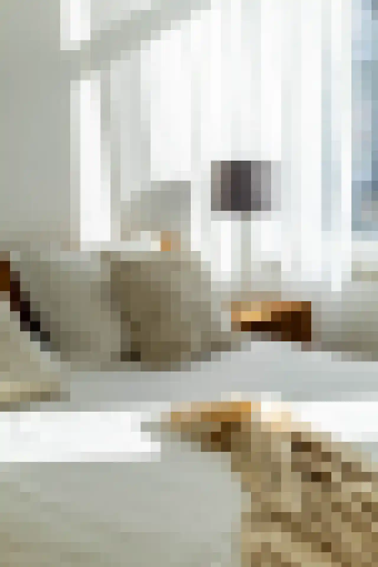Bernardus Gewinstraat 13 B Rotterdam thumbnail 12