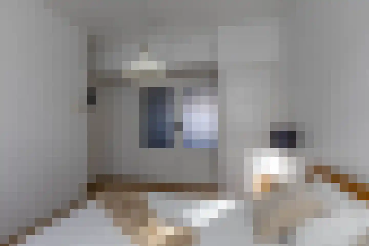 Bernardus Gewinstraat 13 B Rotterdam thumbnail 14