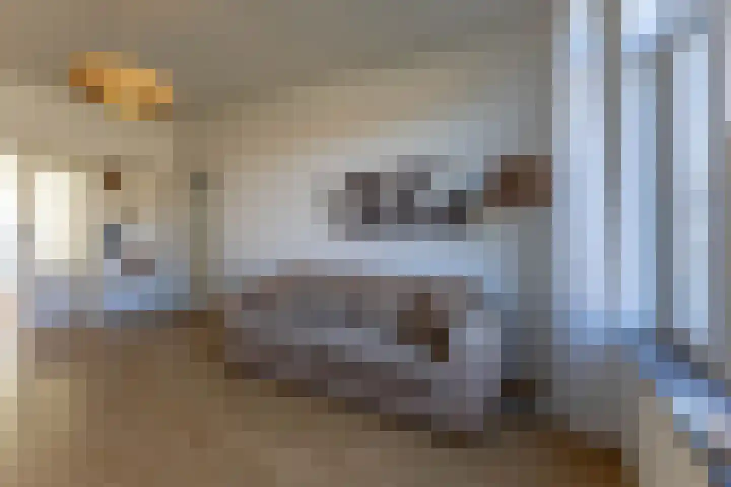 Bernardus Gewinstraat 13 B Rotterdam thumbnail 8
