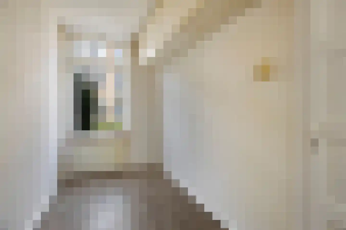 Bernardus Gewinstraat 16 B Rotterdam thumbnail 19