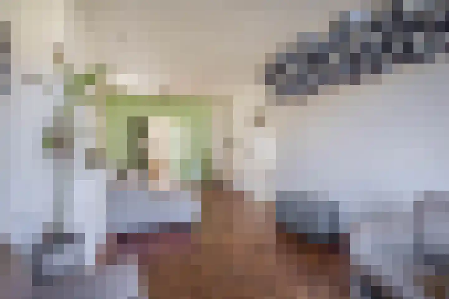Bernardus Gewinstraat 17 A Rotterdam thumbnail 22