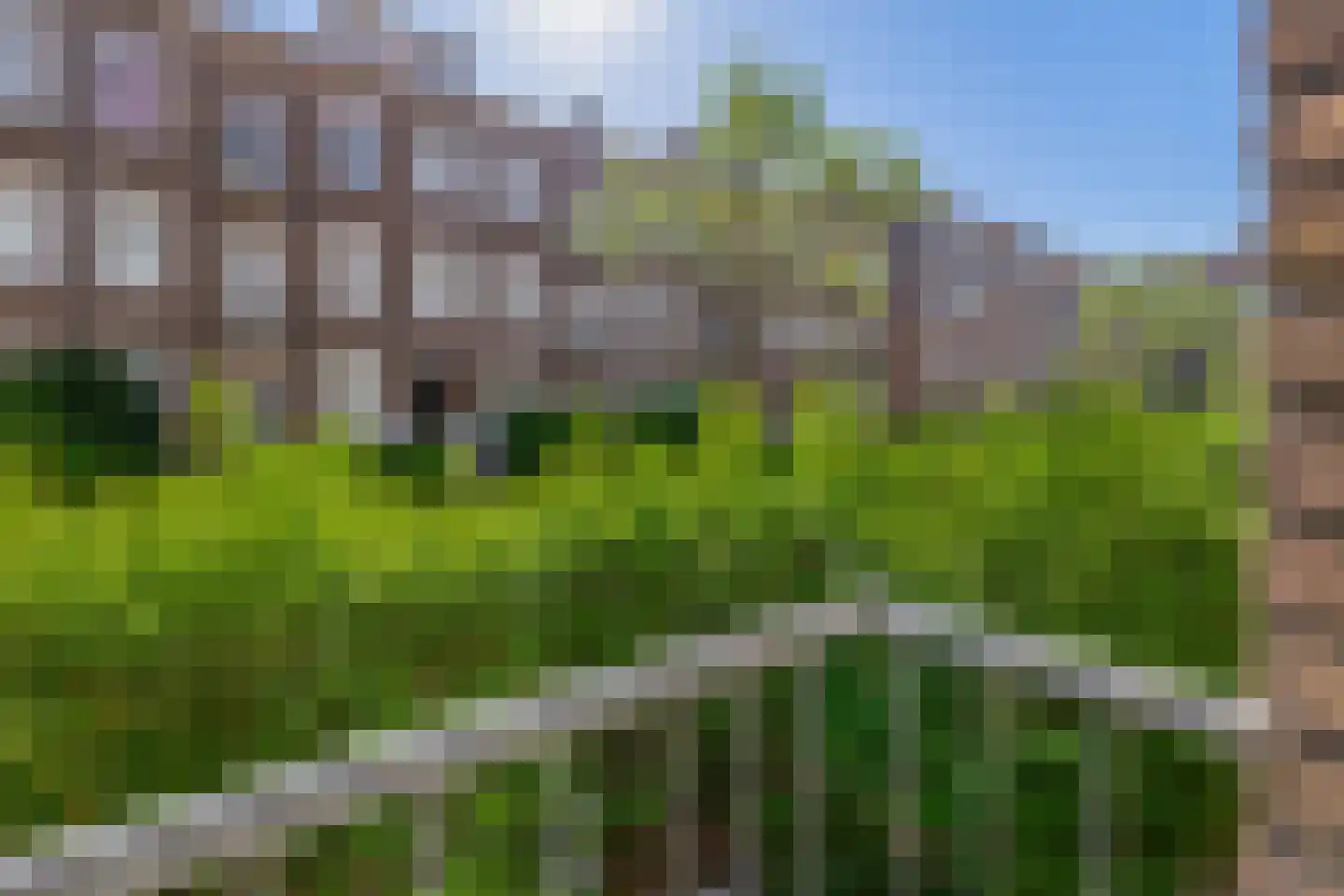 Bernardus Gewinstraat 17 A Rotterdam thumbnail 24