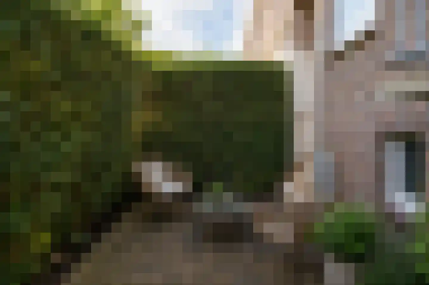Bernardus Gewinstraat 17 A Rotterdam thumbnail 28