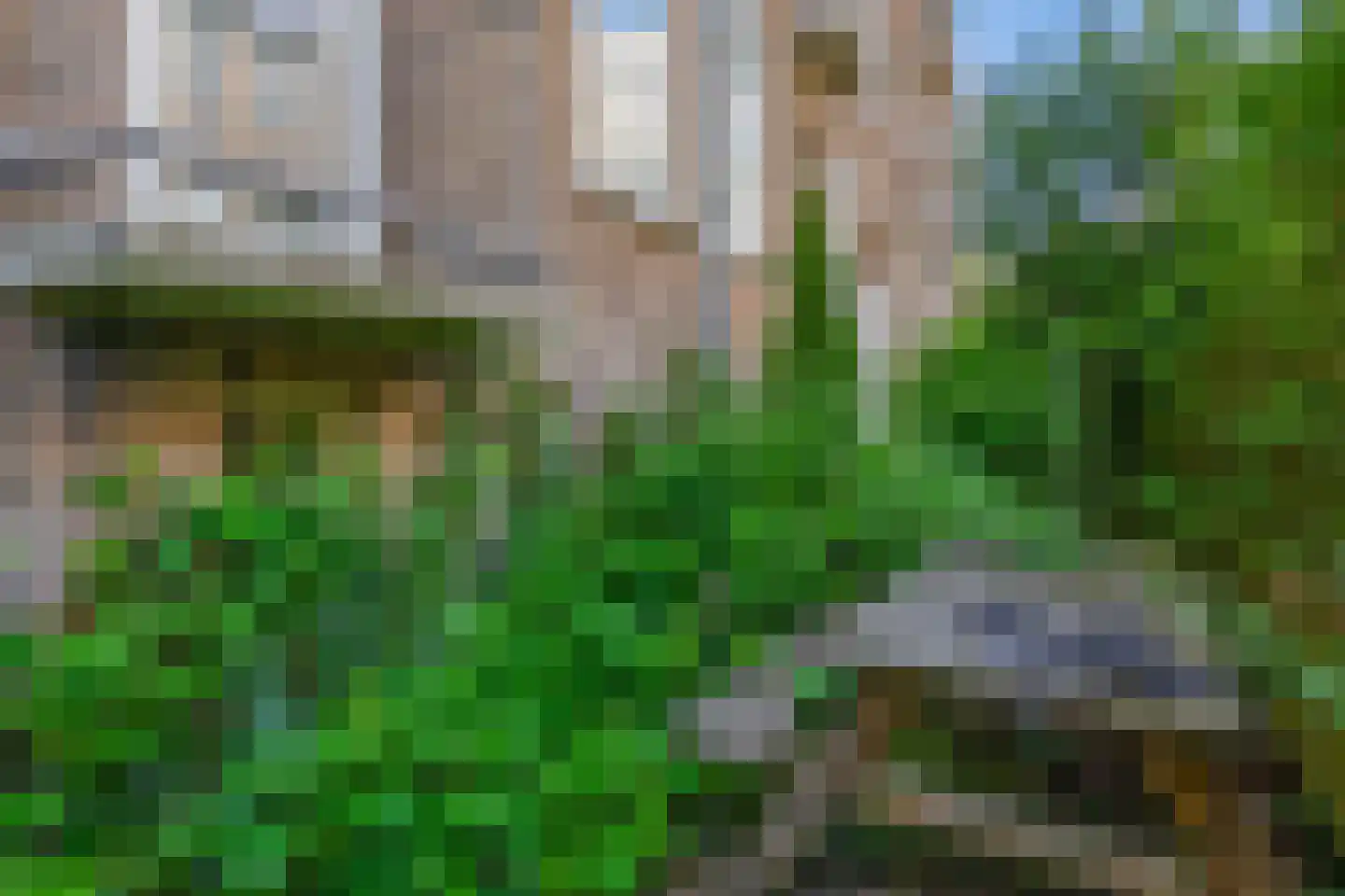 Bernardus Gewinstraat 17 A Rotterdam thumbnail 31