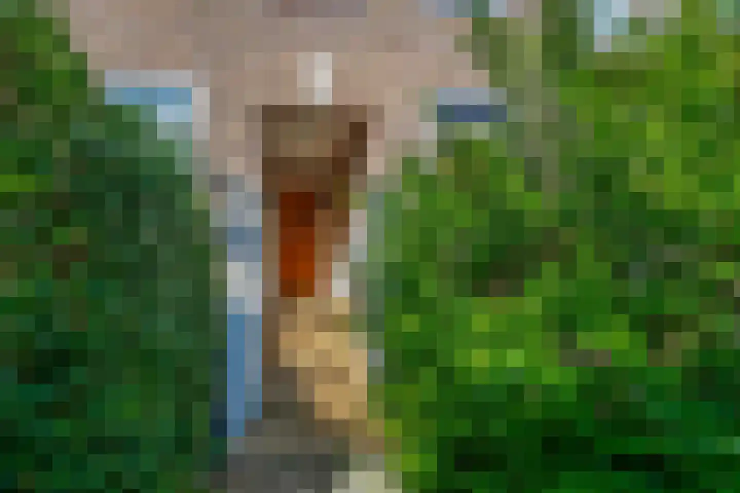 Bernardus Gewinstraat 17 A Rotterdam thumbnail 9