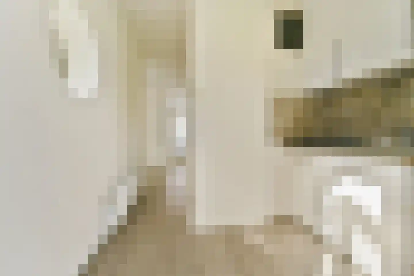 Bernardus Gewinstraat 24 B Rotterdam thumbnail 22