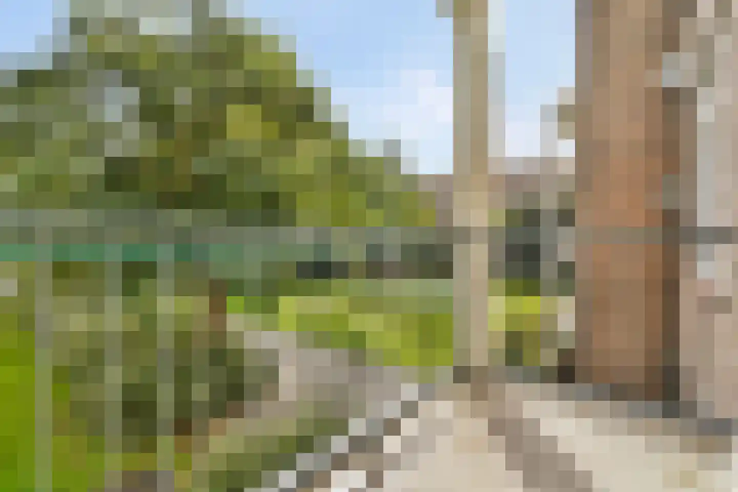 Bernardus Gewinstraat 24 B Rotterdam thumbnail 23