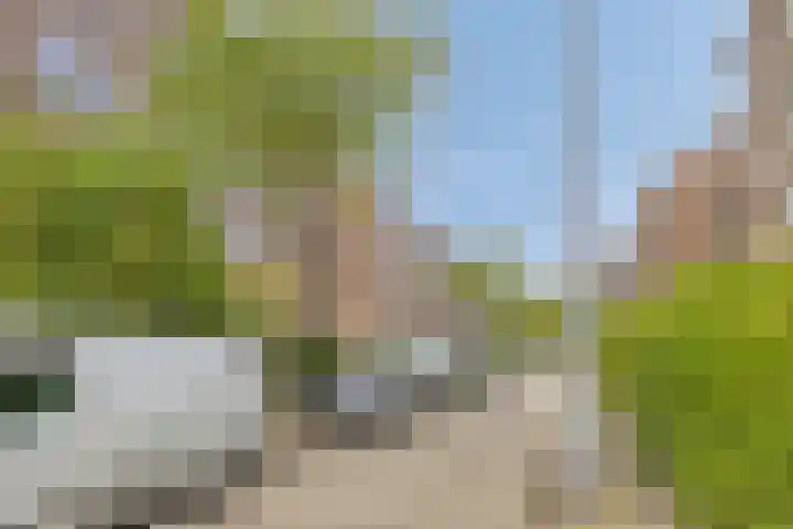 Bernardus Gewinstraat 25 C Rotterdam thumbnail 25