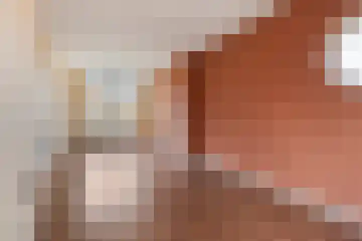 Bernardus Gewinstraat 25 C Rotterdam thumbnail 5